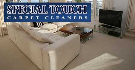 Special Touch Carpet Cleaning - Cuyahoga Falls, Ohio - Serving Cleveland and Akron Ohio