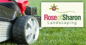 Rose of Sharon Landscaping