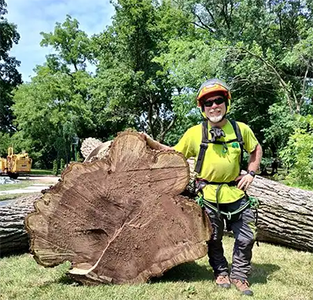 tree removal