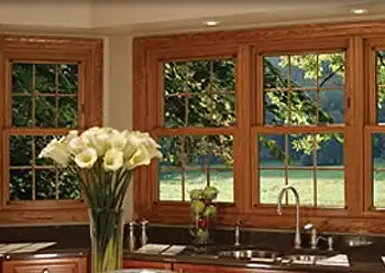 Double-Hung Windows