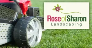 Rose of Sharon Landscaping