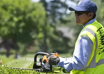 commercial landscaping