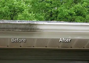 gutter cleaning