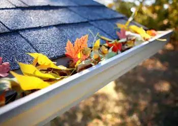 gutter cleaning