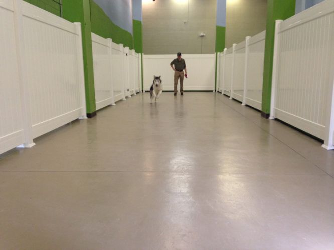 Pet Lodge USA Beachwood, Ohio Pet Hotel, Resort & Kennel