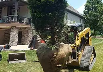 landscape design