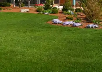 lawn mowing service