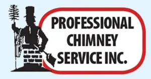 Professional Chimney Service