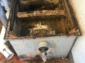 grease trap cleaning
