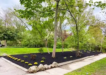 landscape design