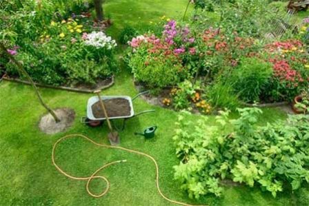 Total Landscaping & Lawn Care