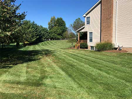 Total Landscaping & Lawn Care - Parma, Ohio - Residential & Commercial Landscaper - We are your source for comprehensive landscaping & lawn care services