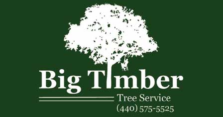 Big Timber Tree Service