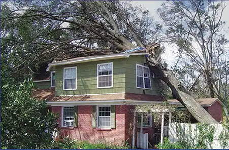 tree service