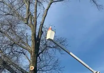 tree pruning