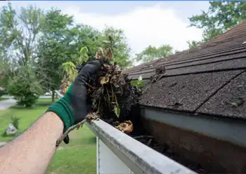 gutter cleaning