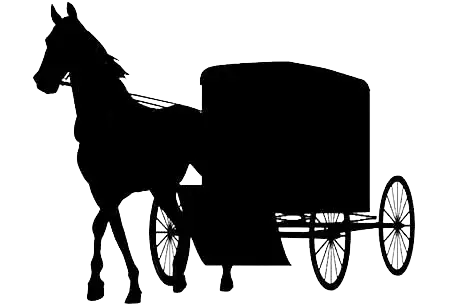 Amish roofer