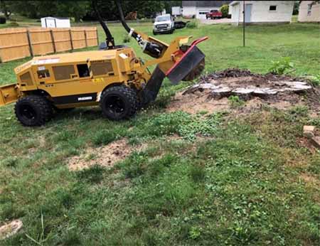 Ruegg Stump Grinding - Northeast Ohio - Stump removal services in Canton, Massillon and surrounding areas. 24 Hour Emergency Service.
