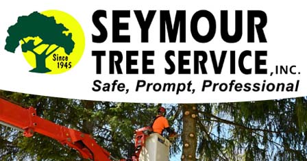 Seymour Tree Service