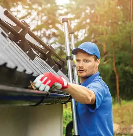 gutter cleaning