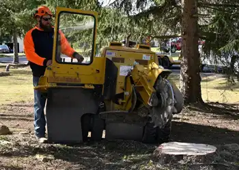 stump grinding