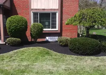 landscape design companies