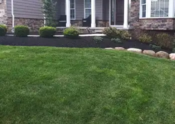 lawn mowing service