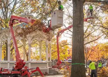 commercial tree services