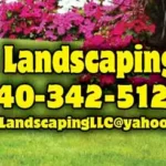 AAA Landscaping