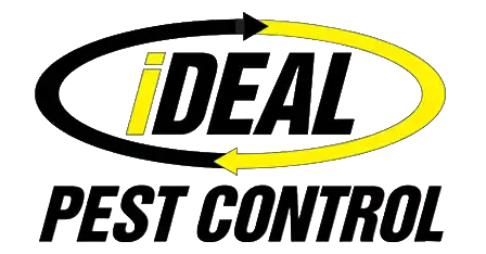 iDeal Pest Control – Broadview Heights, Ohio