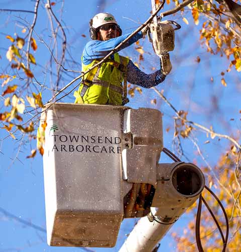 Townsend Arborcare - Northeast Ohio - Tree Pruning, Tree Removal, Stump Removal and 24/7 Emergency Storm Service
