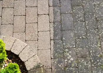 patio paver cleaning