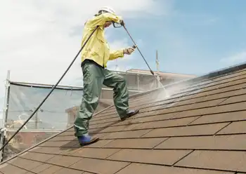 roof cleaning