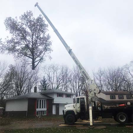 Jim Hall Tree Service - Northeast Ohio - Tree Removal and Trimming. Stump Grinding. Bonded & Fully Insured. Free Estimates.