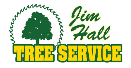 Jim Hall Tree Service - Northeast Ohio - Tree Removal