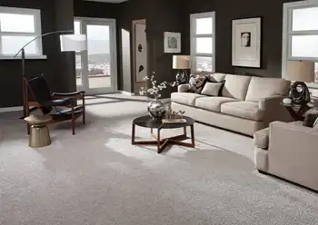 carpet store