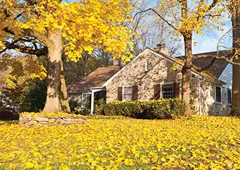 lawn maintenance