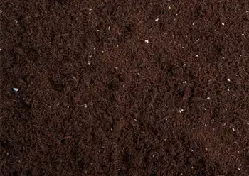 topsoil delivery