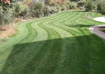 Fertilizing Programs