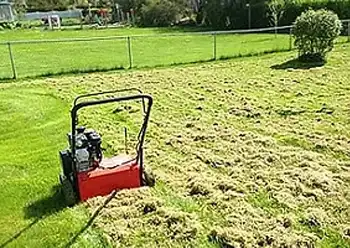 dethatching