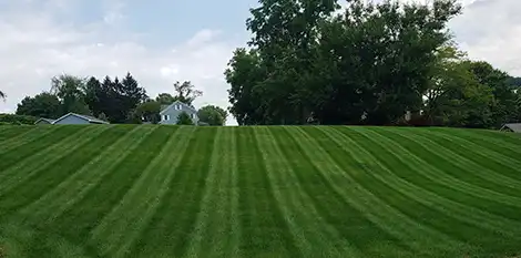 lawn aeration