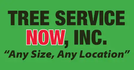 Tree Service Now