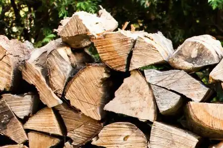 seasoned firewood