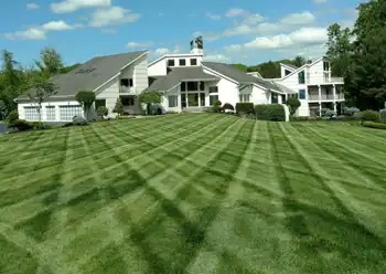 lawn maintenance