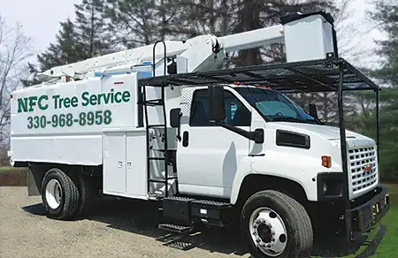 tree companies