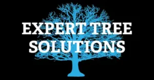 Expert Tree Solutions