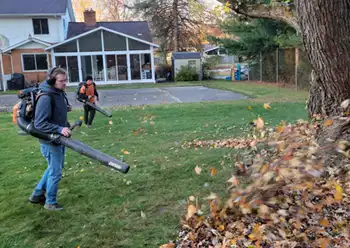 fall clean up