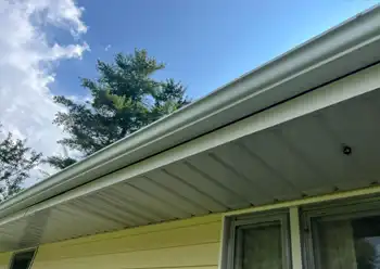 gutter cleaning