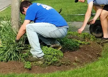 landscapers