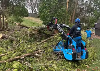 lot clearing
